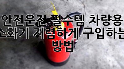 안전운전 필수템! 차량용 소화기 저렴하게 구입하는 방법